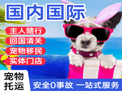 海北祁连航空邮寄国际宠物托运 【国